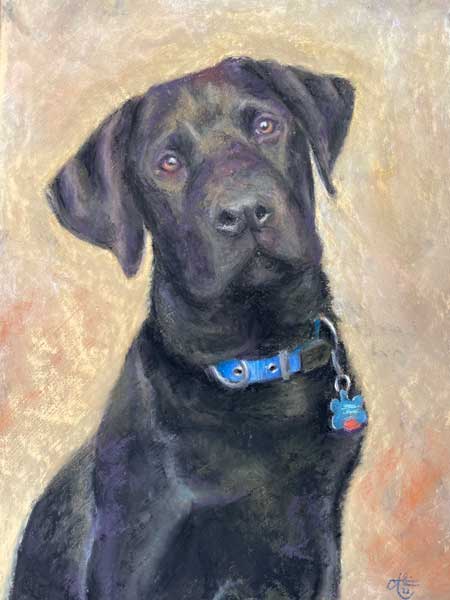 Rory the Third by Chrysti Atkins Fine Art Artist Bendigo