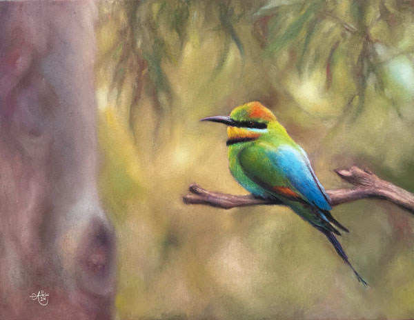 Rainbow Bee-Eater by Chrysti Atkins Fine Art Artist Bendigo